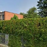 SK DANSPORT PRAHA, z.s.