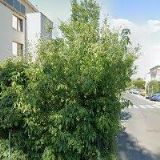 TJ SOKOL Štěrboholy