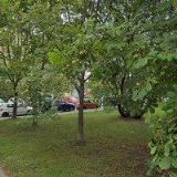 PLAVÁNÍ DĚTÍ AQUILUS