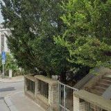 JAHELKA FRANTIŠEK-LYŽAŘSKÉ ZÁJEZDY, LETNÍ TÁBORY