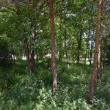 MATĚJOVSKÁ STAŠA-TENISOVÁ ŠKOLA