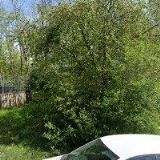 FK SPARTA Košíře, z.s.