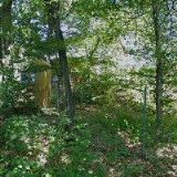 I. KRÁLOVSKÝ LUKOSTŘELECKÝ KLUB z.s.