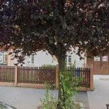 TJ SOKOL Praha-Strašnice