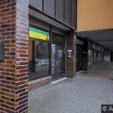 CZECH KYOKUSHIN KARATE