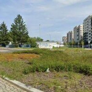 obrazek: avatar ZARENDOM