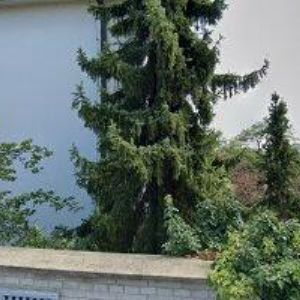 obrazek: avatar 01-ENGINEERING s.r.o.