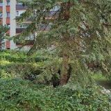 KLIKA JOSEF Ing. arch.