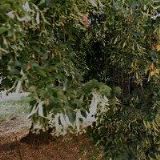 LABONEK PETR Ing.arch., CSc.