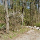 LANGR ADAM Akad. arch.