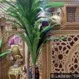 HAVRAN CONSULT s.r.o.