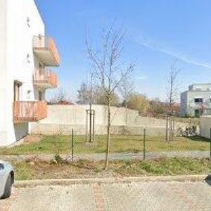 obrazek: avatar SÁDROKARTON SOUČEK