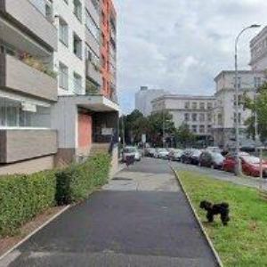 obrazek: avatar ŠARŠOK MILAN