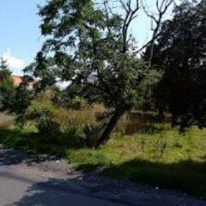 obrazek: avatar ZEMNÍ PROTLAKY spol. s r.o.