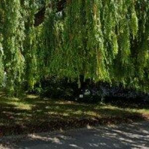 obrazek: avatar JIP TECH