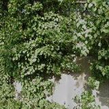 MERTL AKUSTIKA s.r.o.