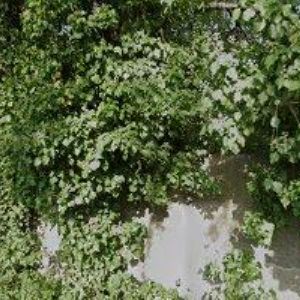 obrazek: avatar MERTL AKUSTIKA s.r.o.