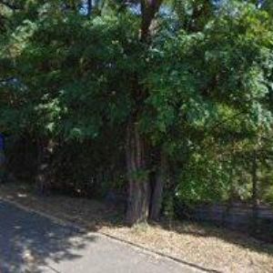 obrazek: avatar IZOSAN spol. s r.o.