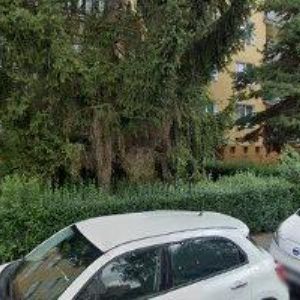 obrazek: avatar ZAVÁZAL JAROSLAV-LEŠENÍ