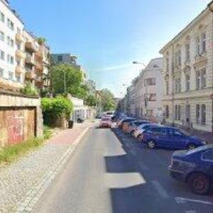 obrazek: avatar LANGER LUMÍR-LEŠENÍ