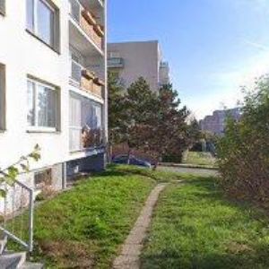 obrazek: avatar KNOB PETR