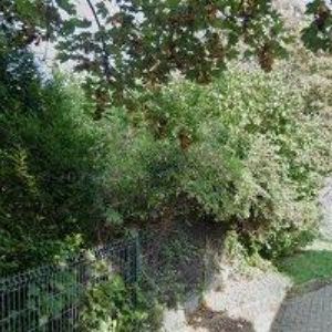 obrazek: avatar GBS PRAHA s.r.o.