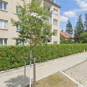 obrazek: avatar HAMPL RICHARD Mgr.