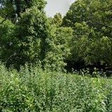 STUDIO MAC-ARCHITECTURE, s.r.o.