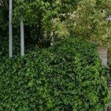 DANĚK MILAN Ing.arch.