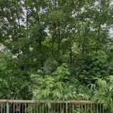 FORM-N INŽENÝRING s.r.o.