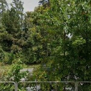 obrazek: avatar SŠ ZAHRADNICKÁ A TECHNICKÁ Litomyšl