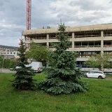 SVOBODOVÁ LUCIE Ing.