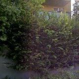 ŠVALBACH MARTIN Mgr.