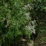 PULKRÁB PAVEL Ing. Mgr.