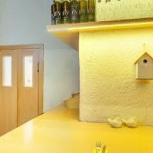 obrazek: avatar VÝBOR DOBRÉ VŮLE-NADACE OLGY HAVLOVÉ