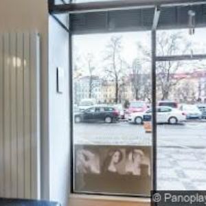 obrazek: avatar SVAZ TĚLESNĚ POSTIŽENÝCH V ČR z. s.