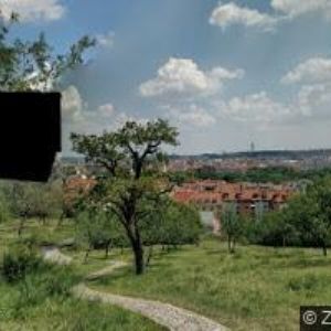 obrazek: avatar OBLASTNÍ SPOLEK ČČK Praha 1