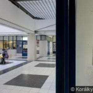 obrazek: avatar ASOCIACE POSKYTOVATELŮ HOSPICOVÉ PALIATIVNÍ PÉČE