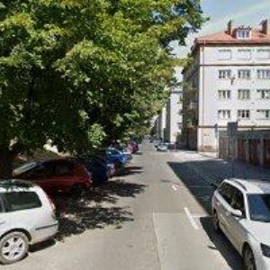 obrazek: avatar ANIMALSCOPS z.s.