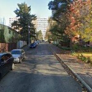 obrazek: avatar CZECH EPILEPSY ASSOCIATION