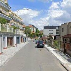 obrazek: avatar SDRUŽENÍ NA OCHRANU ZVÍŘAT V KRAJNÍ NOUZI