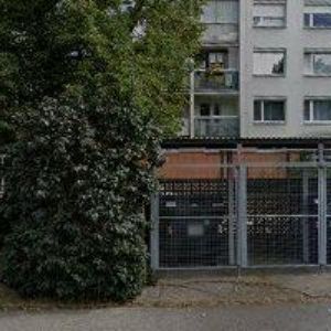 obrazek: avatar TEIR