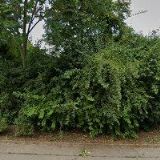 ČESKÝ RYBÁŘSKÝ SVAZ, z.s.