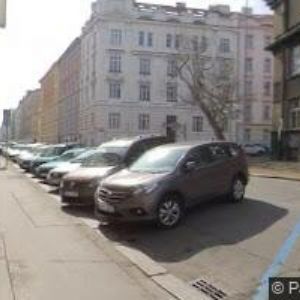 obrazek: avatar SPOLEČNOST PRO PLÁNOVÁNÍ RODINY A SEXUÁLNÍ VÝCHOVU