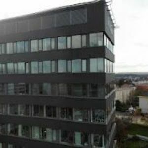 obrazek: avatar NADACE ČESKÉ SPOŘITELNY