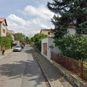 obrazek: avatar SPOLEČNOST FRANTIŠKA TRÖSTERA, z.s.