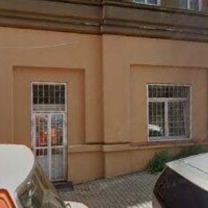 obrazek: avatar ZO ČESKÉHO ZAHRÁDKÁŘSKÉHO SVAZU Palmovka