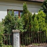 WALDORFSKÁ AKTIVITA, z.s.