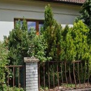 obrazek: avatar WALDORFSKÁ AKTIVITA, z.s.