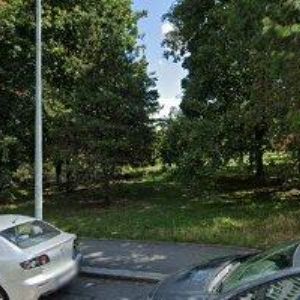 obrazek: avatar TEMPUS LUDI, z.s.